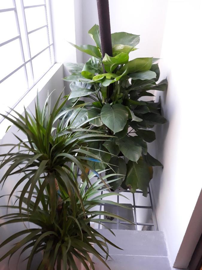 Blue Home Serviced Apartment Hanoi Exteriör bild